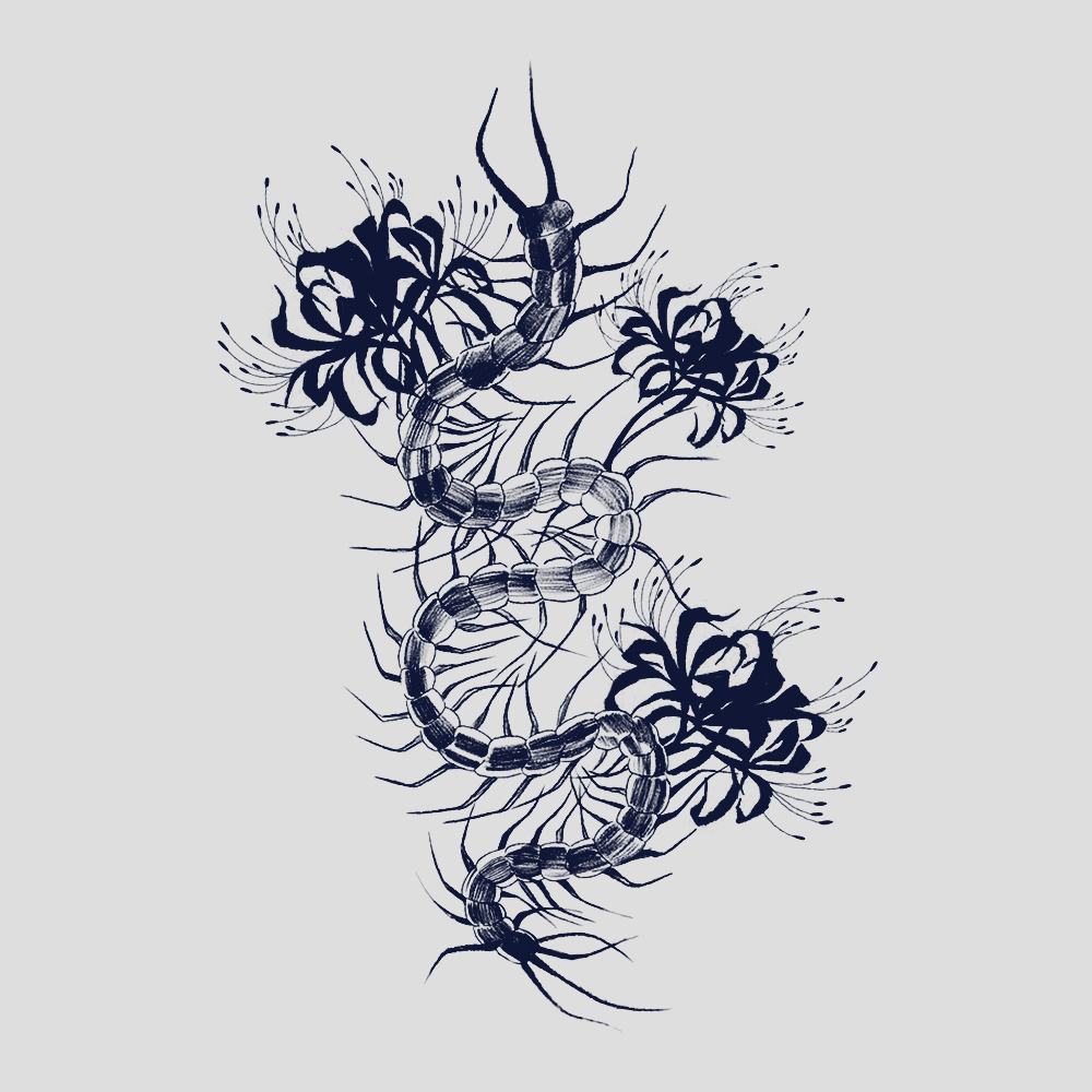 Kaneki Centipede